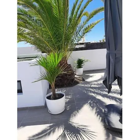 Apartment In *